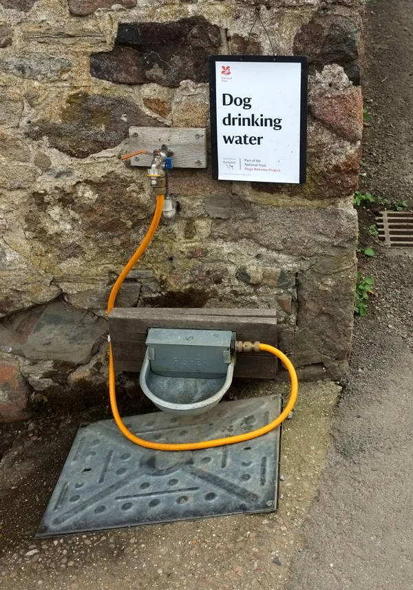 How San Diego County residents can protect pets and people during extreme heat and heat illness