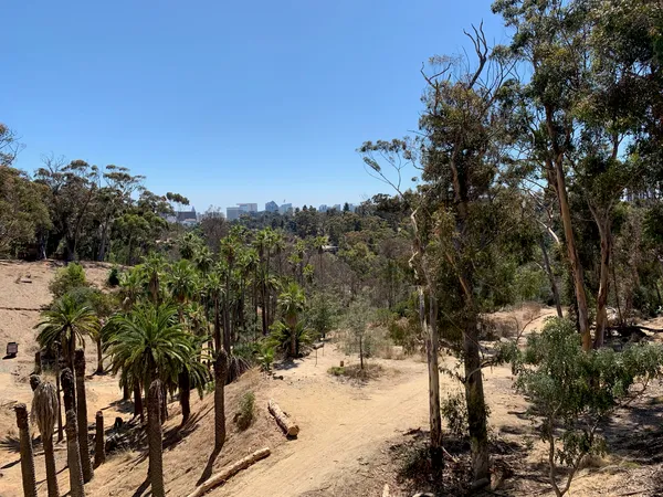 Golden Skies Ahead: San Diego Welcomes a Warm and Sunny Start to the Week