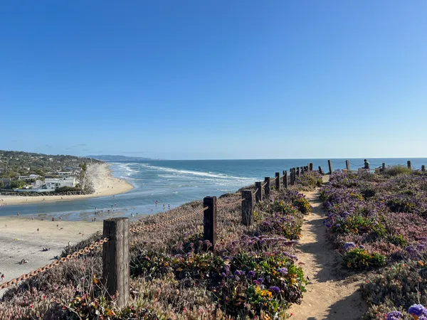 Bluff collapse reported near Del Mar Dog Beach as coastal erosion and rail stabilization projects continue