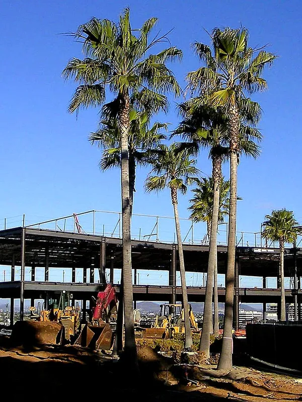 San Diego Morning Briefing: A City in Transformation