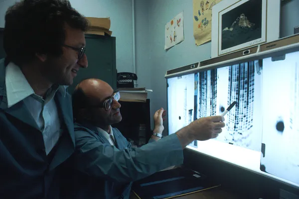 UC San Diego trial shows tumor DNA-guided drug combinations can personalize care for advanced cancer patients