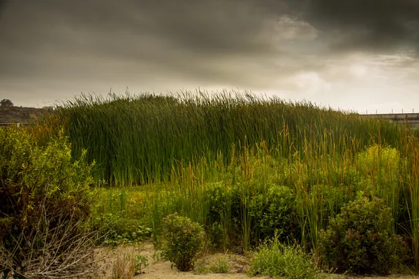 San Diego County begins the week warm and dry, then turns cooler with rain chances late week
