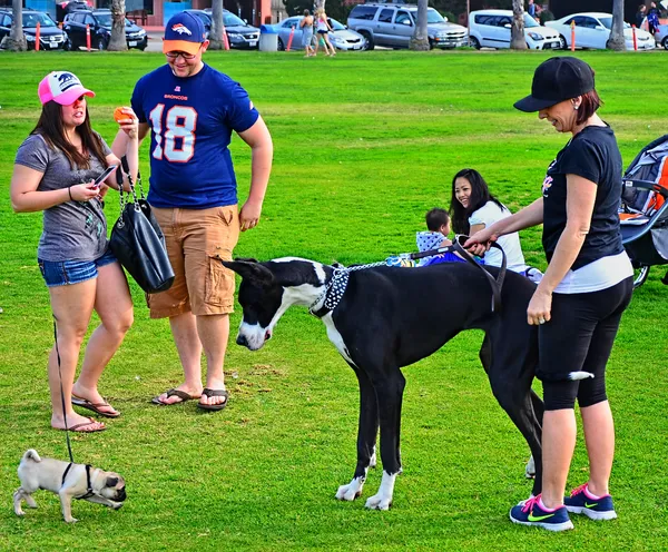 Sun-Drenched and Dry: San Diego Braces for a Gorgeous Spring Friday